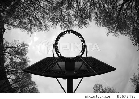 Grayscale of basketball hoop from below in the park Grayscale of basketball hoop from below in the park 99678483