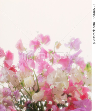 image photo flower flower 99680725