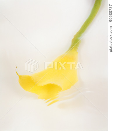 image photo flower flower 99680727