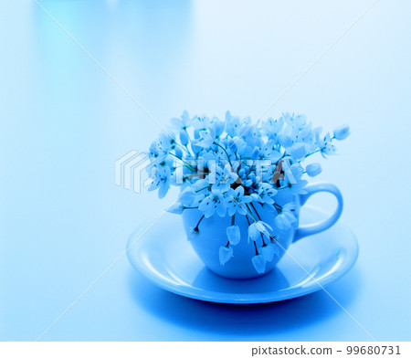 image photo flower flower 99680731