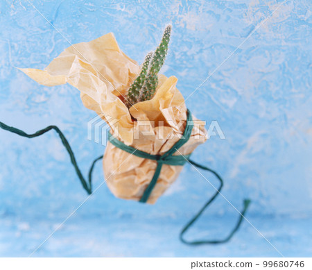 image photo flower flower 99680746