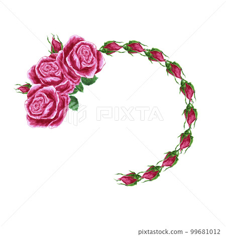 Handdrawn Watercolor pink roses wreath boarder on the white background. Scrapbook design elements. Typography poster, wedding invitation, postcard, label, banner design. Handdrawn Watercolor pink roses wreath boarder on the white background. Scrapbook design elements. Typography poster, wedding invitation, postcard, label, banner design. 99681012