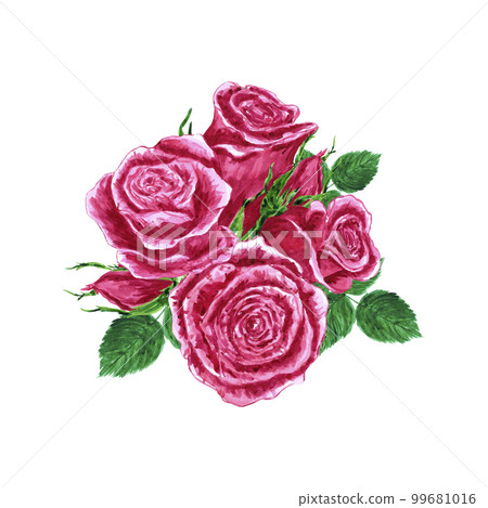 Handdrawn Watercolor pink roses composition on the white background. Scrapbook design elements. Typography poster, wedding invitation, postcard, label, banner design 99681016