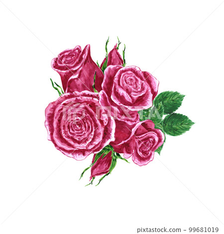 Handdrawn Watercolor pink roses composition on the white background. Scrapbook design elements. Typography poster, wedding invitation, postcard, label, banner design 99681019