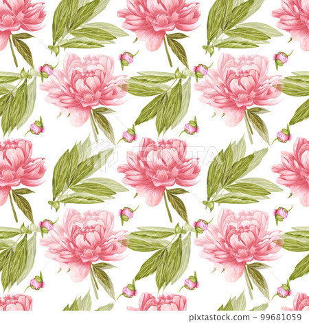 Handdrawn peony flowers seamless pattern. Watercolor pink peony with green leaves and buds on the white background. Scrapbook design, typography poster, label, banner, textile. 99681059
