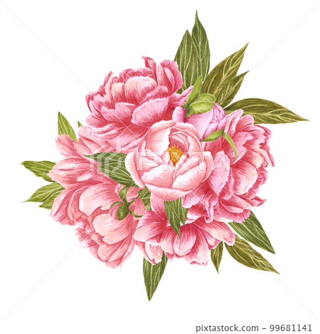 Handdrawn Watercolor red, cream and pink peony flowers bouquet with green leaves on the white background. Scrapbook design, typography poster, label, banner, post card. Handdrawn Watercolor red, cream and pink peony flowers bouquet with green leaves on the white background. Scrapbook design, typography poster, label, banner, post card. 99681141
