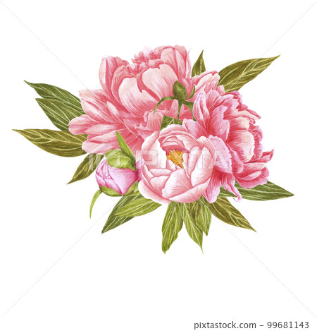 Handdrawn Watercolor red, cream and pink peony flowers bouquet with green leaves on the white background. Scrapbook design, typography poster, label, banner, post card. Handdrawn Watercolor red, cream and pink peony flowers bouquet with green leaves on the white background. Scrapbook design, typography poster, label, banner, post card. 99681143