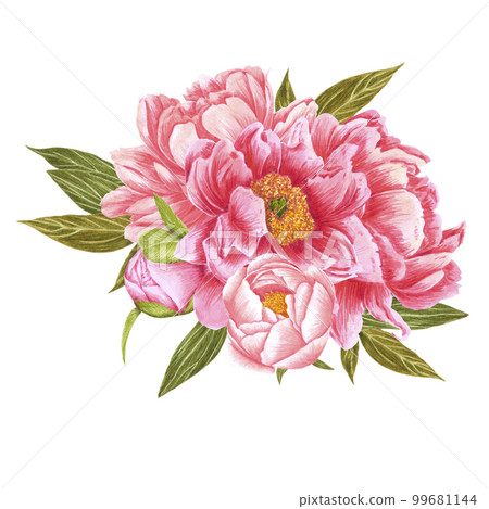 Handdrawn Watercolor red, cream and pink peony flowers bouquet with green leaves on the white background. Scrapbook design, typography poster, label, banner, post card. Handdrawn Watercolor red, cream and pink peony flowers bouquet with green leaves on the white background. Scrapbook design, typography poster, label, banner, post card. 99681144