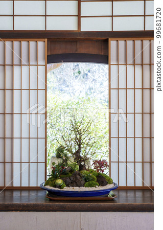 天台宗青蓮院門斑花鳥傳梅花盆景（京都市東山區） 99681720