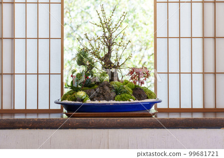 天台宗青蓮院門斑花鳥傳梅花盆景(京都市東山區) 天台宗青蓮院門斑花鳥傳梅花盆景(京都市東山區) 99681721