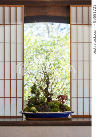 Tendai Buddhism Shorenin Monzeki Kachoden Plum Bonsai (Higashiyama Ward, Kyoto City) 99681722