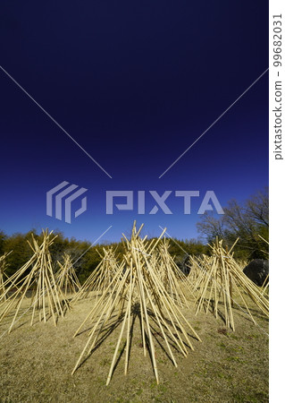 高山茶泉之鄉竹曬風景 99682031