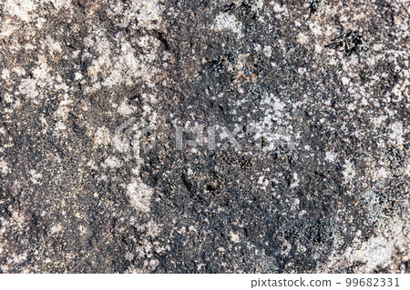 Stone material 99682331