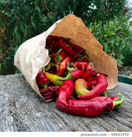 Photo on theme long red hot chili pepper Photo on theme long red hot chili pepper 99683450