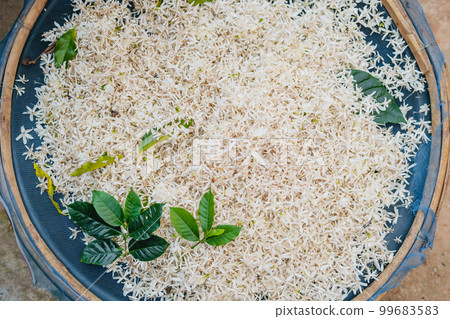 white coffee flowers in a basket 99683583
