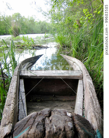 Old wooden broken boat for swimming on banks water in natural reeds 99683585