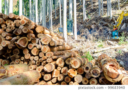 堆積的稀疏木材原木 堆積的稀疏木材原木 99683940