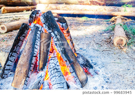 燃燒篝火 99683945