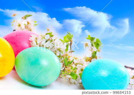 Easter eggs, tree flower branch, blue cloudy sky 99684153