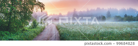 Country gravel road in fog in natural park in summer. 99684828