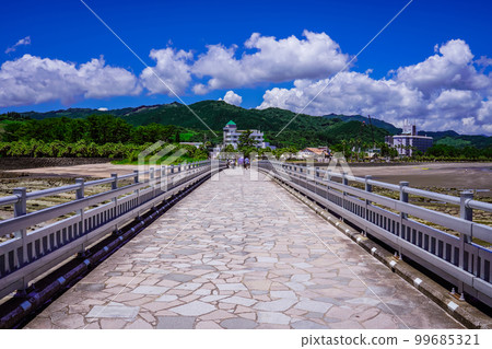 Yayoi Bridge connecting mainland Kyushu and Aoshima (Miyazaki City, Miyazaki Prefecture) 99685321