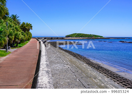 連接九州本土和青島的彌生橋（宮崎縣宮崎市） 99685324