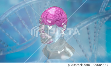 The crystal head and brain for sci or education... - Stock Illustration ...