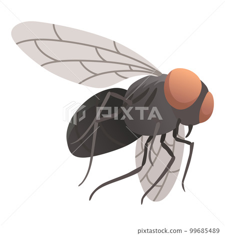 Housefly insect icon. Wildlife symbol in cartoon style. Scary insect. Graphic design element. Entomology closeup color vector illustration isolated on white background 99685489