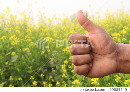 finger sign with mustard farm for deaf finger sign with mustard farm for deaf 99685549