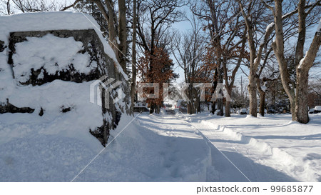 Morioka castle trace park in winter 99685877