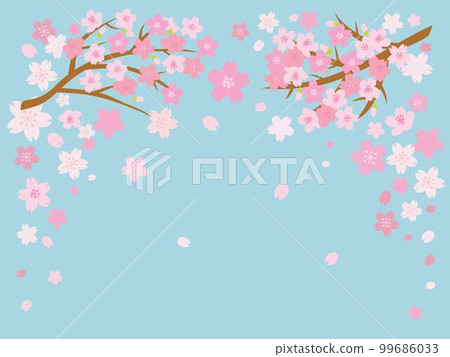 pink cherry blossoms and blue sky background illustration 99686033