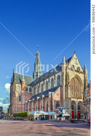 Church of Saint Bavo, Haarlem, Netherlands Church of Saint Bavo, Haarlem, Netherlands 99686442