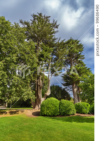 Phoenix Park, Dublin, Ireland Phoenix Park, Dublin, Ireland 99686490