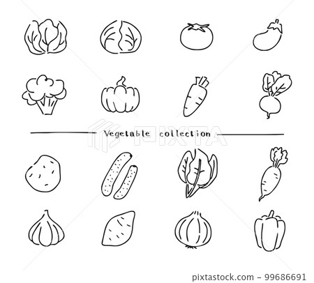 Vegetable illustration set line drawing monochrome Vegetable illustration set line drawing monochrome 99686691