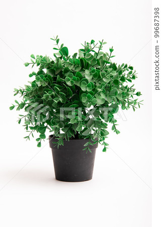 Artificial plastic small green plant in black pot isolated on white background Artificial plastic small green plant in black pot isolated on white background 99687398