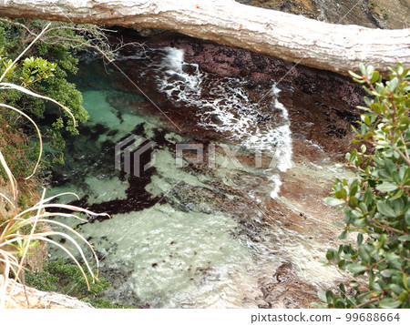Shizuoka Prefecture Minamiizu Ryugu Cave February 99688664