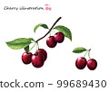 cherry with leaves realistic illustration 99689430