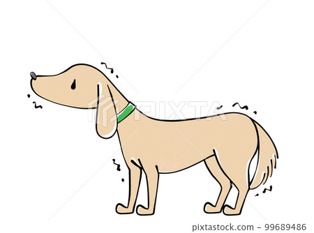 一隻受驚的狗的插圖 99689486