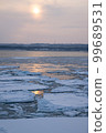 Drift ice in Abashiri at dusk seen from an icebreaker 99689531