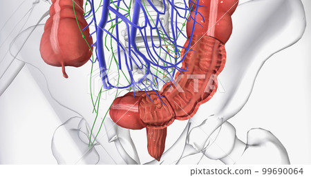 Colorectal cancer (CRC) is a common colon or rectal cancer that affects many patients over middle age. 99690064