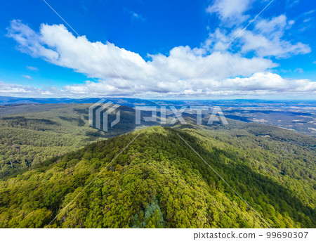 Summer Landscape at Mt St Leonard in Australia 99690307
