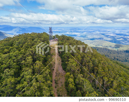 Summer Landscape at Mt St Leonard in Australia 99690310