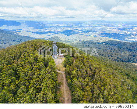 Summer Landscape at Mt St Leonard in Australia 99690314