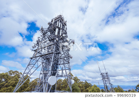 Summer Landscape at Mt St Leonard in Australia 99690319