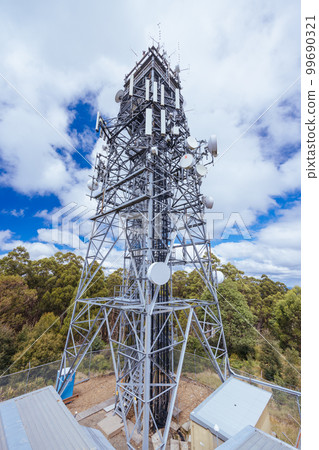 Summer Landscape at Mt St Leonard in Australia 99690321