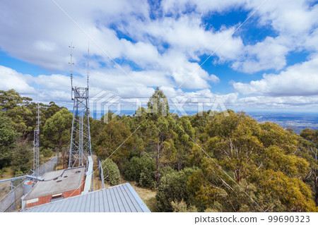 Summer Landscape at Mt St Leonard in Australia 99690323