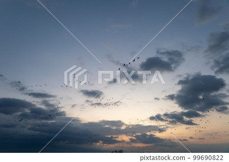 馬根的清晨飛行 99690822