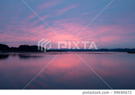 馬根的清晨飛行 99690872