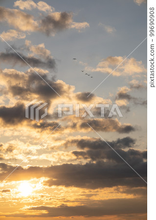 Early morning flight of Magan Early morning flight of Magan 99690908