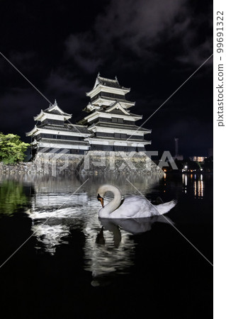 National Treasure Matsumoto Castle Night face and swans National Treasure Matsumoto Castle Night face and swans 99691322